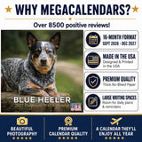 Blue Heeler Wall Calendar 2027 - 12" x 12" Monthly Quick Loyal Australian Herding Dog Breed Calendar