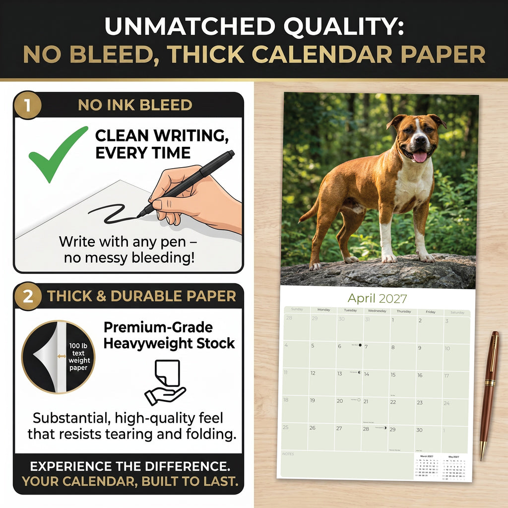 American Staffordshire Terrier Wall Calendar 2027 - 12" x 12" Monthly Strong & Confident AmStaff Breed Calendar