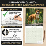 American Staffordshire Terrier Wall Calendar 2027 - 12" x 12" Monthly Strong & Confident AmStaff Breed Calendar