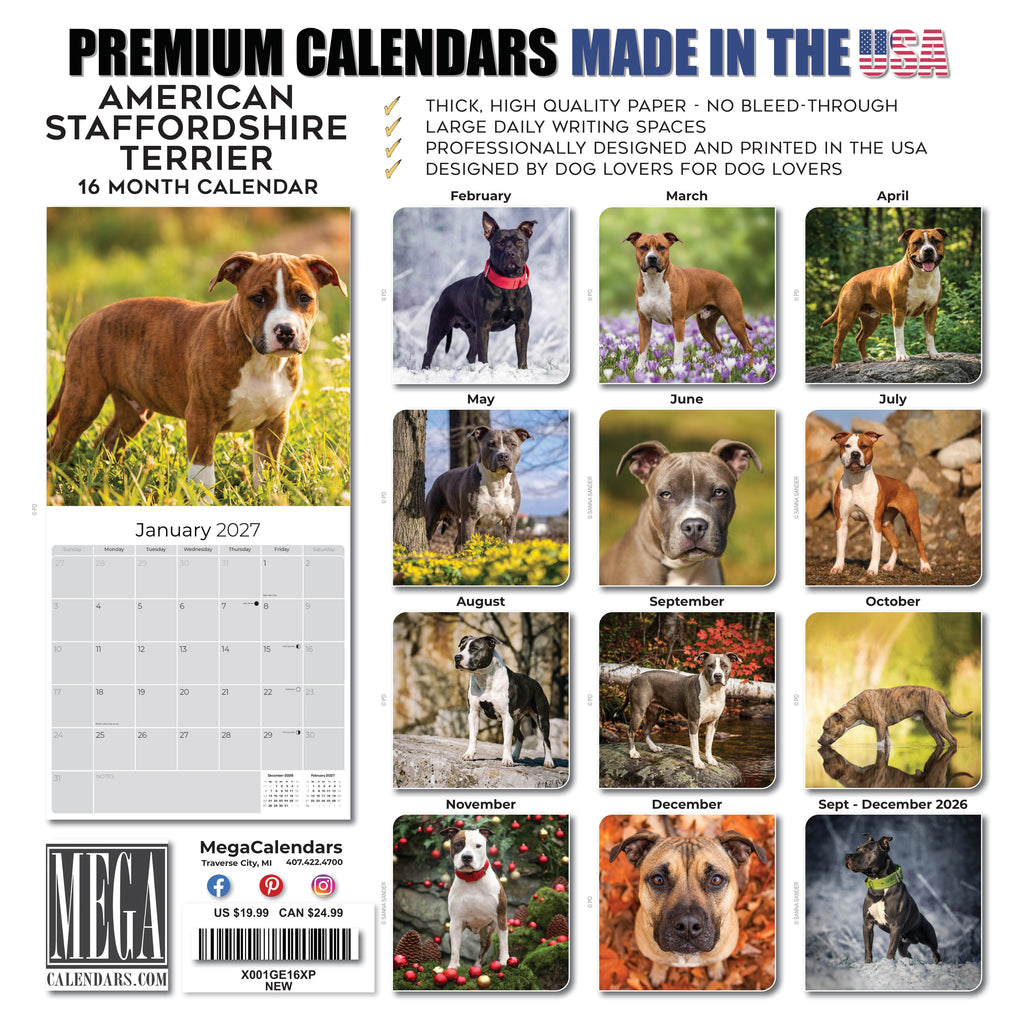 American Staffordshire Terrier Wall Calendar 2027 - 12" x 12" Monthly Strong & Confident AmStaff Breed Calendar