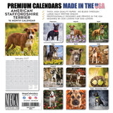 American Staffordshire Terrier Wall Calendar 2027 - 12" x 12" Monthly Strong & Confident AmStaff Breed Calendar