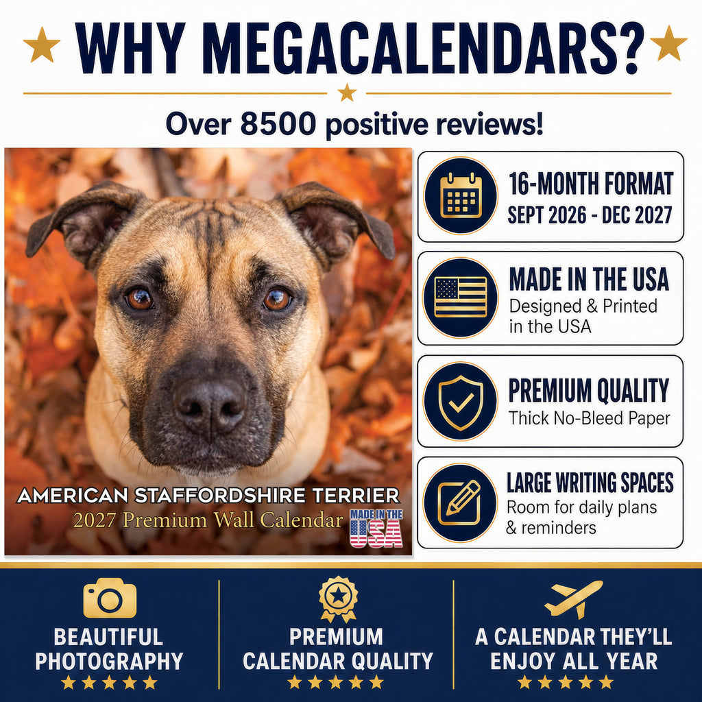 American Staffordshire Terrier Wall Calendar 2027 - 12" x 12" Monthly Strong & Confident AmStaff Breed Calendar
