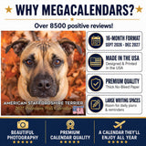 American Staffordshire Terrier Wall Calendar 2027 - 12" x 12" Monthly Strong & Confident AmStaff Breed Calendar