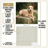 Australian Cattle Dog Wall Calendar 2027 - 12" x 12" 16-Month Intelligent and Resilient Dog Calendar