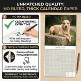 Australian Cattle Dog Wall Calendar 2027 - 12" x 12" 16-Month Intelligent and Resilient Dog Calendar