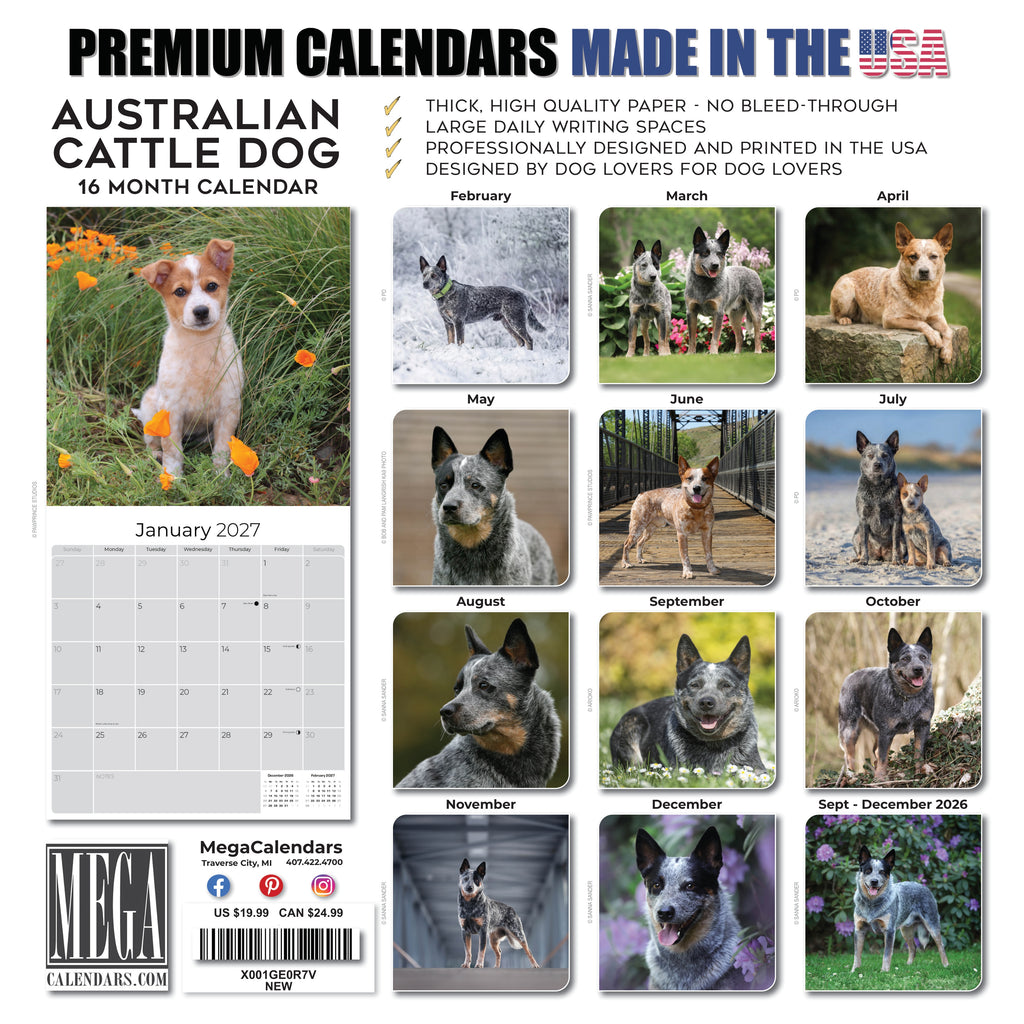 Australian Cattle Dog Wall Calendar 2027 - 12" x 12" 16-Month Intelligent and Resilient Dog Calendar