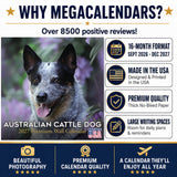 Australian Cattle Dog Wall Calendar 2027 - 12" x 12" 16-Month Intelligent and Resilient Dog Calendar