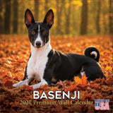 Basenji Wall Calendar 2027 - 12" x 12" Monthly Independent & Alert Barkless Hound Dog Calendar