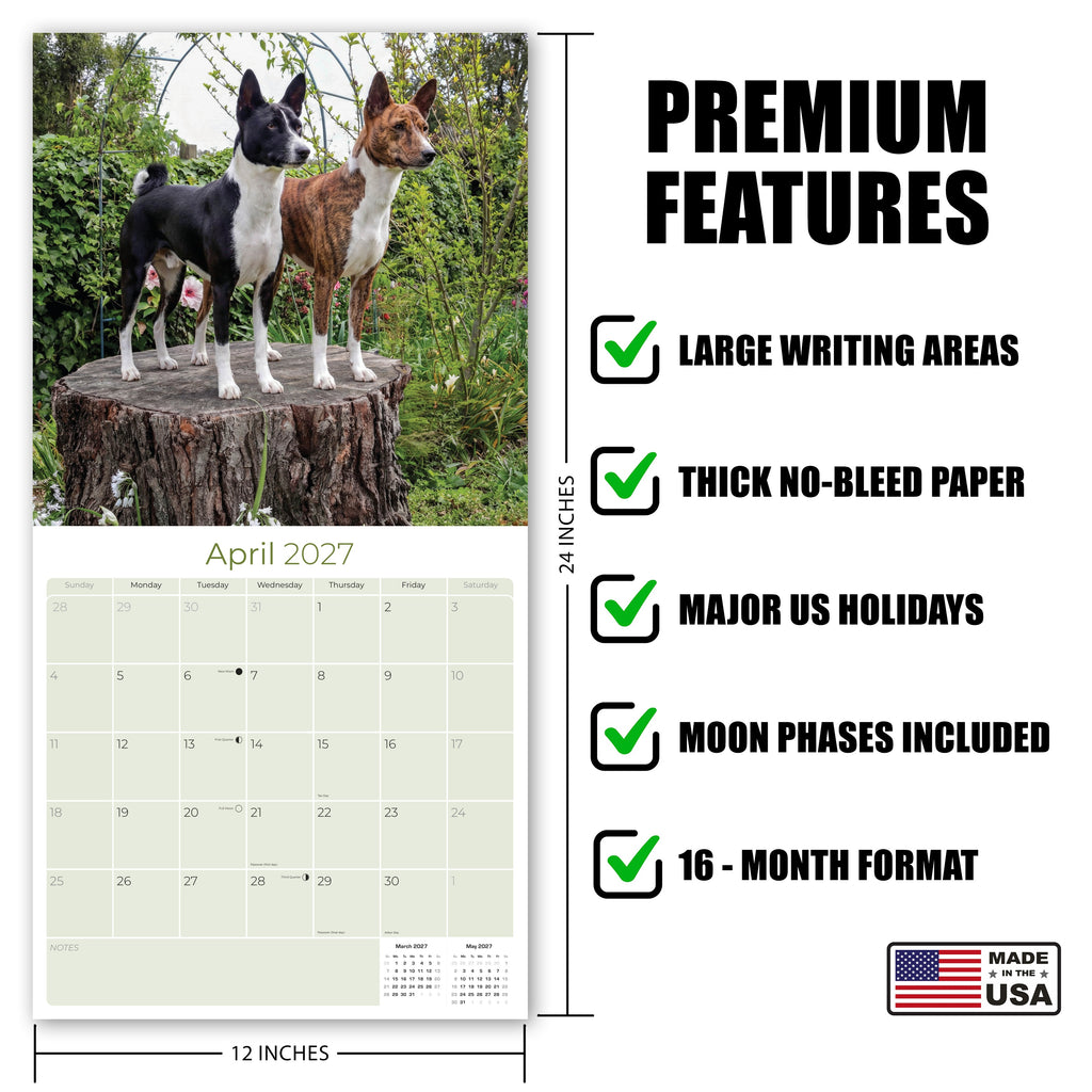Basenji Wall Calendar 2027 - 12" x 12" Monthly Independent & Alert Barkless Hound Dog Calendar