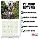 Basenji Wall Calendar 2027 - 12" x 12" Monthly Independent & Alert Barkless Hound Dog Calendar