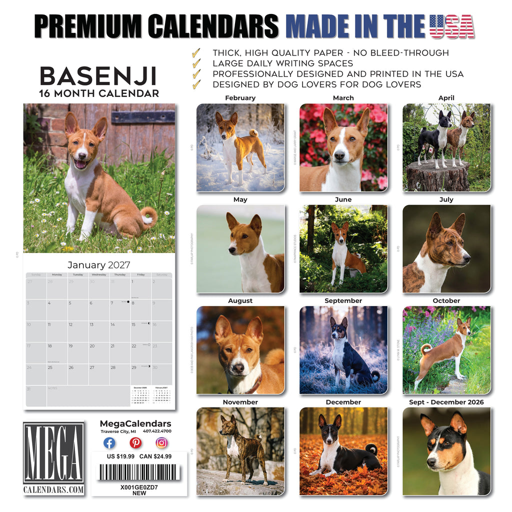 Basenji Wall Calendar 2027 - 12" x 12" Monthly Independent & Alert Barkless Hound Dog Calendar