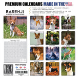 Basenji Wall Calendar 2027 - 12" x 12" Monthly Independent & Alert Barkless Hound Dog Calendar