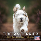 Tibetan Terrier Wall Calendar 2027 - 12" x 12" Monthly Loyal & Affectionate Tibetan Dog Breed Calendar