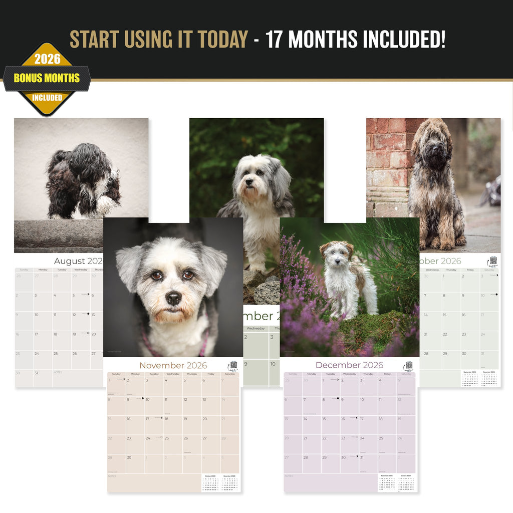 Tibetan Terrier Wall Calendar 2027 - 12" x 12" Monthly Loyal & Affectionate Tibetan Dog Breed Calendar