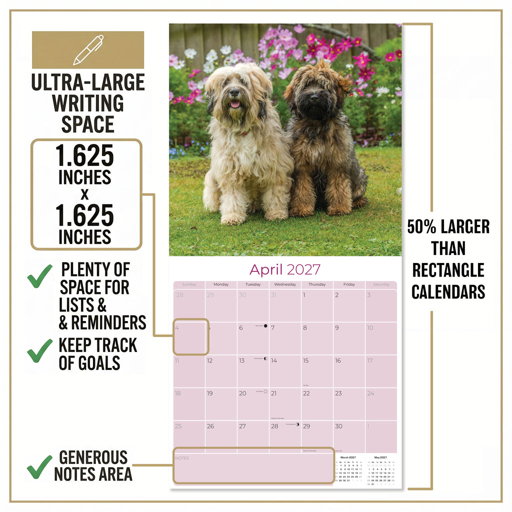 Tibetan Terrier Wall Calendar 2027 - 12" x 12" Monthly Loyal & Affectionate Tibetan Dog Breed Calendar