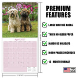 Tibetan Terrier Wall Calendar 2027 - 12" x 12" Monthly Loyal & Affectionate Tibetan Dog Breed Calendar