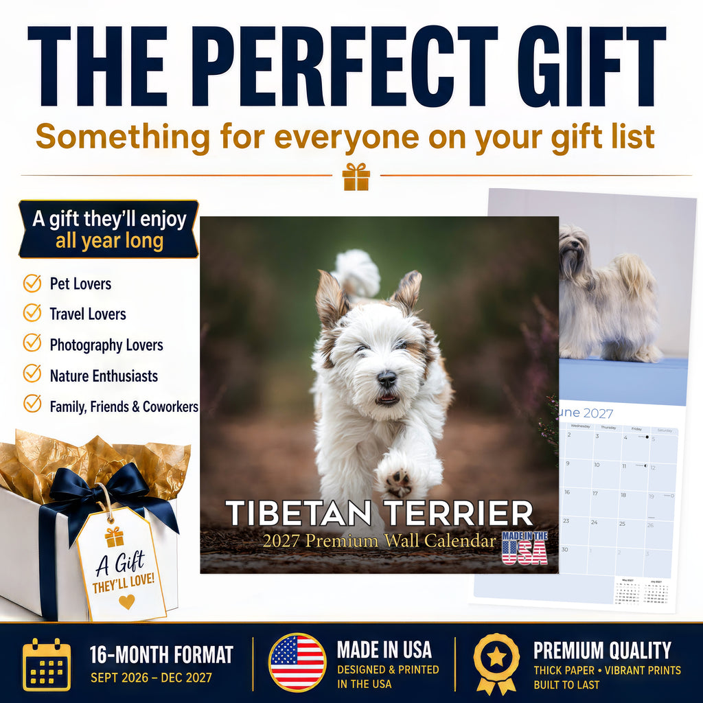 Tibetan Terrier Wall Calendar 2027 - 12" x 12" Monthly Loyal & Affectionate Tibetan Dog Breed Calendar