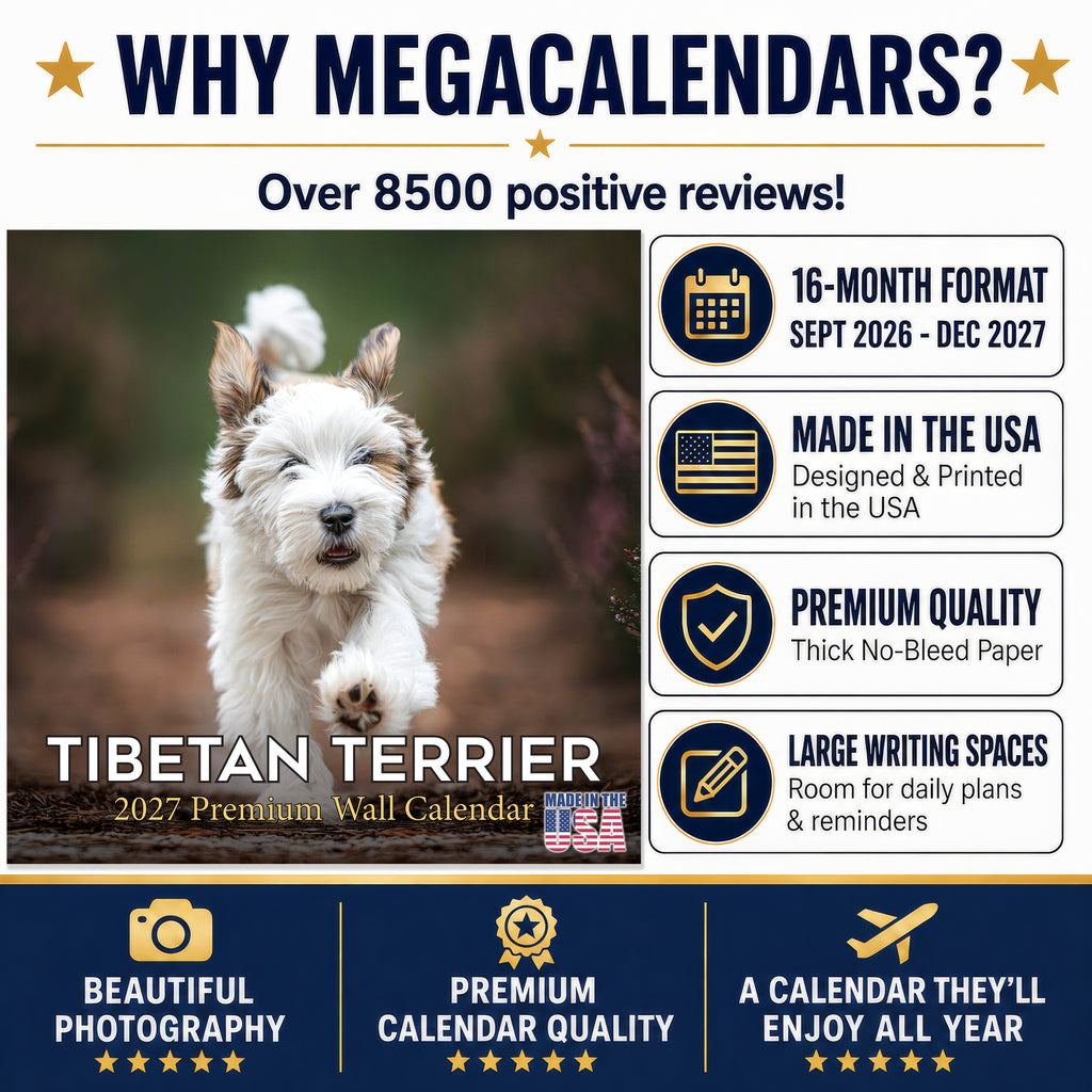 Tibetan Terrier Wall Calendar 2027 - 12" x 12" Monthly Loyal & Affectionate Tibetan Dog Breed Calendar