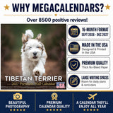 Tibetan Terrier Wall Calendar 2027 - 12" x 12" Monthly Loyal & Affectionate Tibetan Dog Breed Calendar