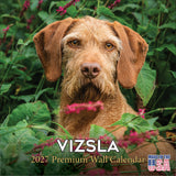 Vizsla Wall Calendar 2027 - 12" x 12" Monthly Athletic & Affectionate Hungarian Pointer Dog Breed Calendar