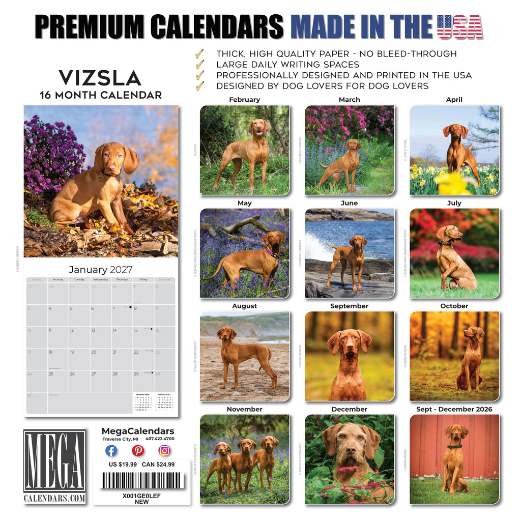 Vizsla Wall Calendar 2027 - 12" x 12" Monthly Athletic & Affectionate Hungarian Pointer Dog Breed Calendar
