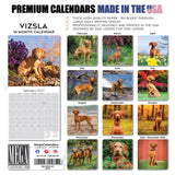 Vizsla Wall Calendar 2027 - 12" x 12" Monthly Athletic & Affectionate Hungarian Pointer Dog Breed Calendar