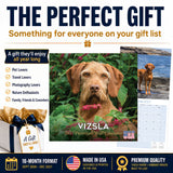 Vizsla Wall Calendar 2027 - 12" x 12" Monthly Athletic & Affectionate Hungarian Pointer Dog Breed Calendar