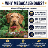 Vizsla Wall Calendar 2027 - 12" x 12" Monthly Athletic & Affectionate Hungarian Pointer Dog Breed Calendar