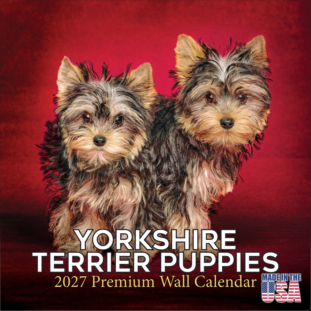 Yorkshire Terrier Puppies Wall Calendar 2027 - 12" x 12" Monthly Cute Playful Silky Toy Dog Breed Calendar