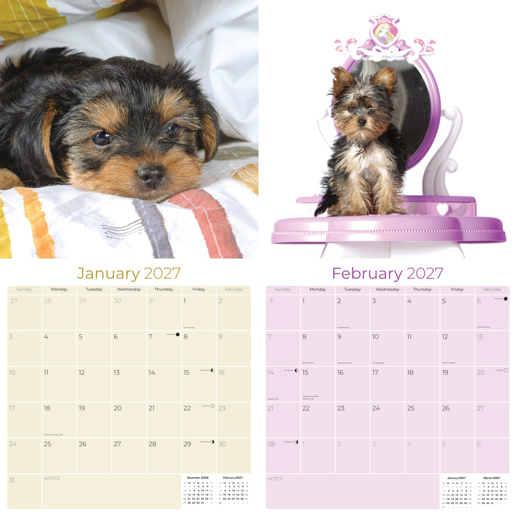 Yorkshire Terrier Puppies Wall Calendar 2027 - 12" x 12" Monthly Cute Playful Silky Toy Dog Breed Calendar