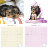 Yorkshire Terrier Puppies Wall Calendar 2027 - 12" x 12" Monthly Cute Playful Silky Toy Dog Breed Calendar