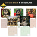 Yorkshire Terrier Puppies Wall Calendar 2027 - 12" x 12" Monthly Cute Playful Silky Toy Dog Breed Calendar