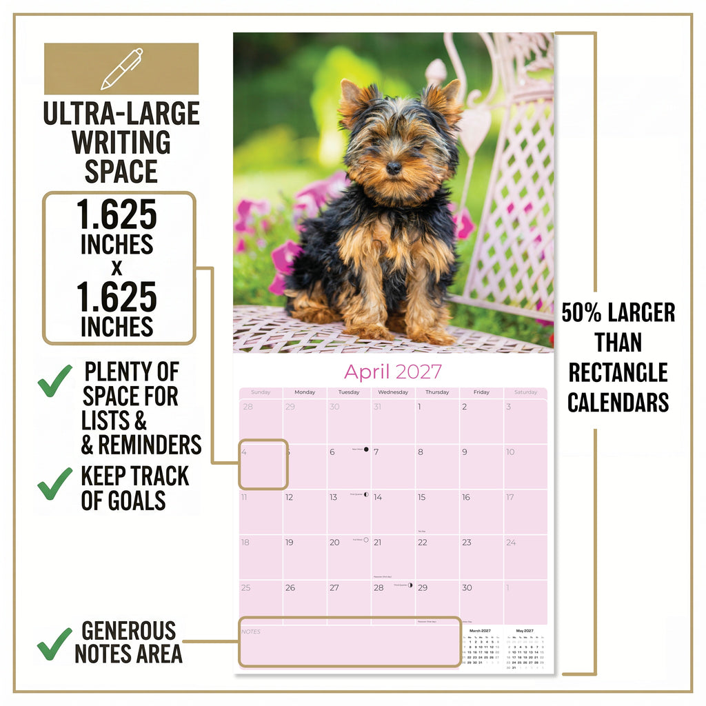 Yorkshire Terrier Puppies Wall Calendar 2027 - 12" x 12" Monthly Cute Playful Silky Toy Dog Breed Calendar