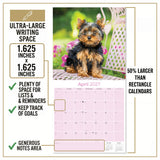 Yorkshire Terrier Puppies Wall Calendar 2027 - 12" x 12" Monthly Cute Playful Silky Toy Dog Breed Calendar