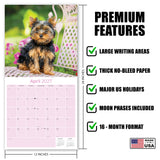 Yorkshire Terrier Puppies Wall Calendar 2027 - 12" x 12" Monthly Cute Playful Silky Toy Dog Breed Calendar