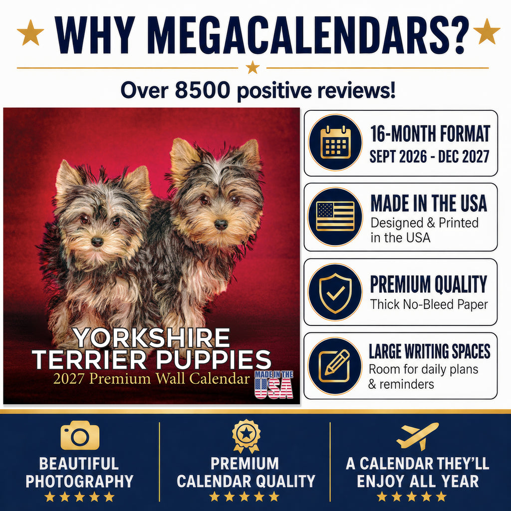 Yorkshire Terrier Puppies Wall Calendar 2027 - 12" x 12" Monthly Cute Playful Silky Toy Dog Breed Calendar