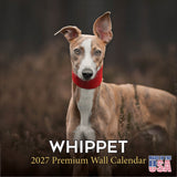 Whippet Wall Calendar 2027 - 12" x 12" Monthly Sleek & Athletic Sighthound Dog Breed Calendar