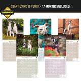 Whippet Wall Calendar 2027 - 12" x 12" Monthly Sleek & Athletic Sighthound Dog Breed Calendar
