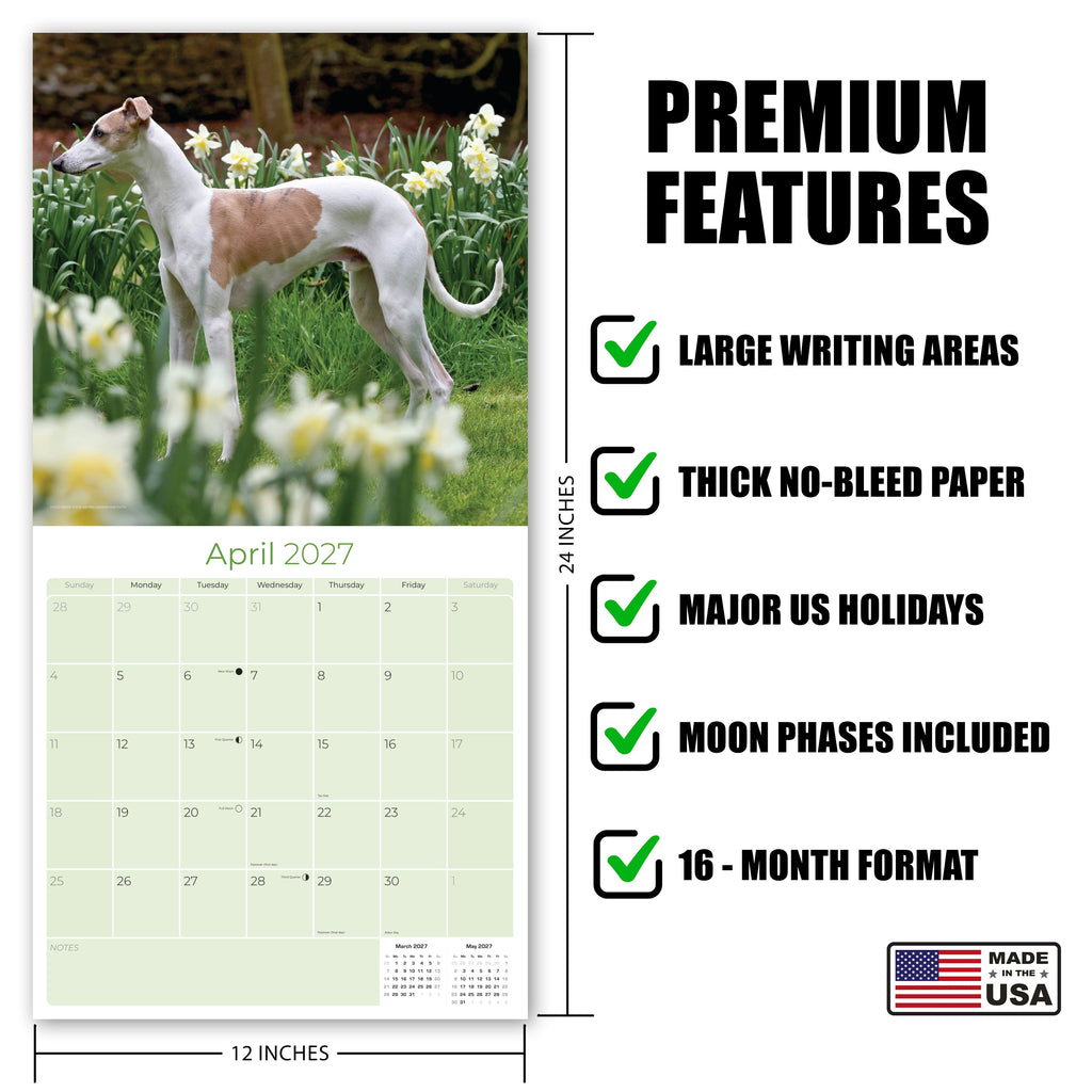 Whippet Wall Calendar 2027 - 12" x 12" Monthly Sleek & Athletic Sighthound Dog Breed Calendar