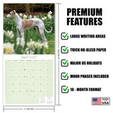 Whippet Wall Calendar 2027 - 12" x 12" Monthly Sleek & Athletic Sighthound Dog Breed Calendar