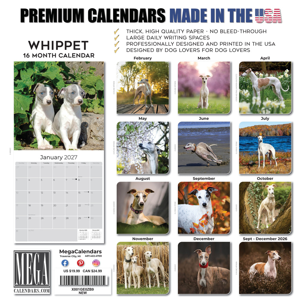 Whippet Wall Calendar 2027 - 12" x 12" Monthly Sleek & Athletic Sighthound Dog Breed Calendar