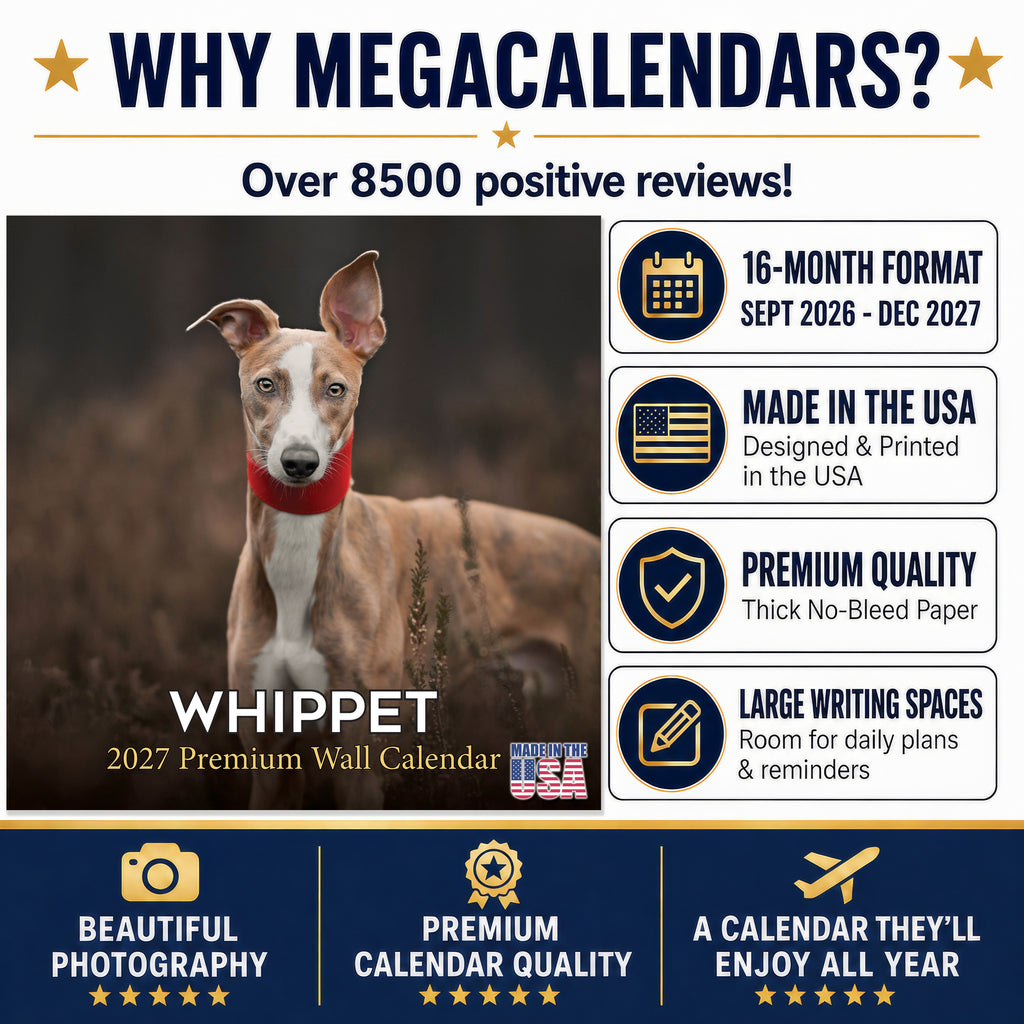 Whippet Wall Calendar 2027 - 12" x 12" Monthly Sleek & Athletic Sighthound Dog Breed Calendar