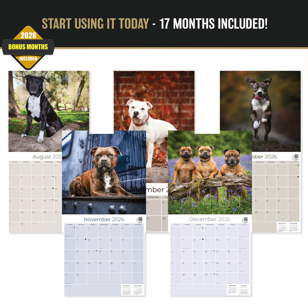 Staffordshire Bull Terrier Wall Calendar 2027 - 12" x 12" Monthly Courageous & Affectionate Staffy Dog Breed Calendar