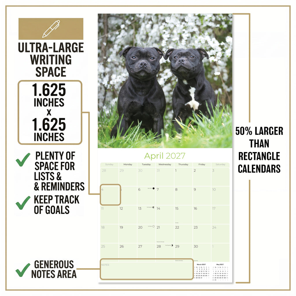Staffordshire Bull Terrier Wall Calendar 2027 - 12" x 12" Monthly Courageous & Affectionate Staffy Dog Breed Calendar
