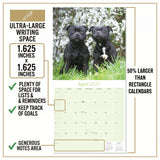 Staffordshire Bull Terrier Wall Calendar 2027 - 12" x 12" Monthly Courageous & Affectionate Staffy Dog Breed Calendar