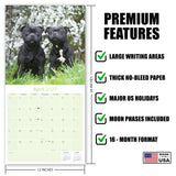 Staffordshire Bull Terrier Wall Calendar 2027 - 12" x 12" Monthly Courageous & Affectionate Staffy Dog Breed Calendar
