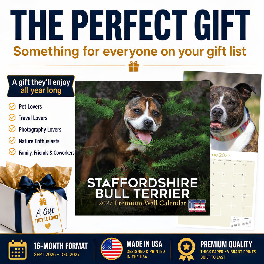Staffordshire Bull Terrier Wall Calendar 2027 - 12" x 12" Monthly Courageous & Affectionate Staffy Dog Breed Calendar