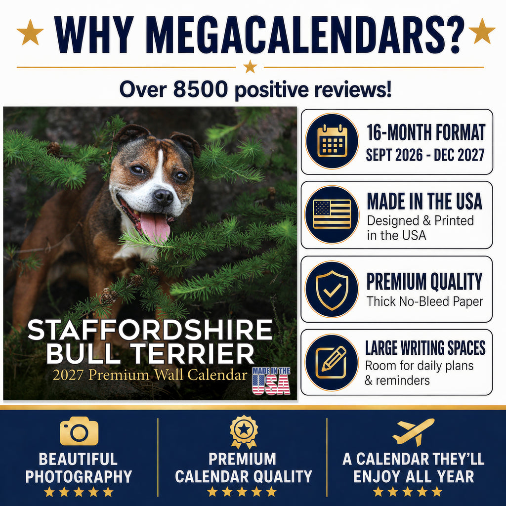 Staffordshire Bull Terrier Wall Calendar 2027 - 12" x 12" Monthly Courageous & Affectionate Staffy Dog Breed Calendar