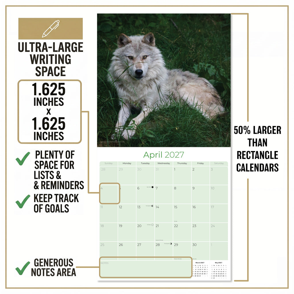 Wolves Wall Calendar 2027 - 12" x 12" Monthly Majestic & Powerful Wild Wolf Wildlife Nature Calendar