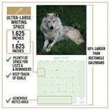 Wolves Wall Calendar 2027 - 12" x 12" Monthly Majestic & Powerful Wild Wolf Wildlife Nature Calendar
